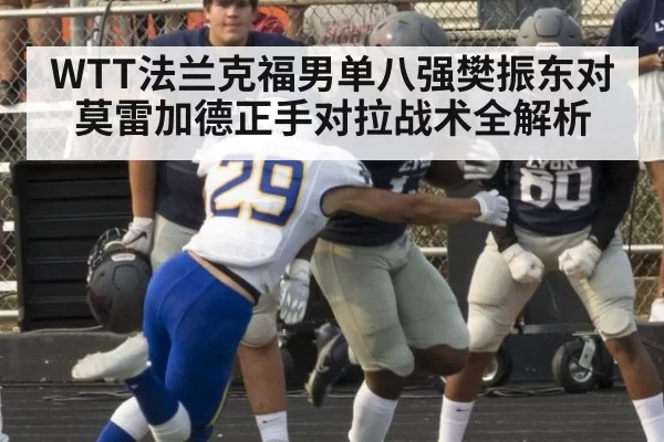 WTT法兰克福男单八强樊振东对莫雷加德正手对拉战术全解析
